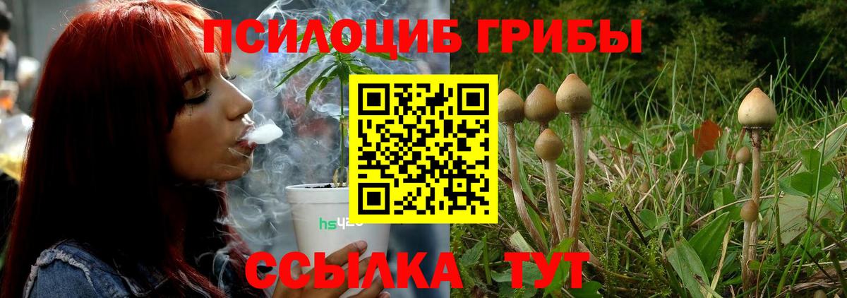 Галлюциногенные грибы мицелий  Галлюциногенные грибы прущие грибы  Вход с VPN  Чебоксары 