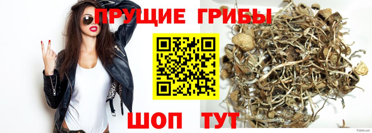 МЕФ Чебоксары